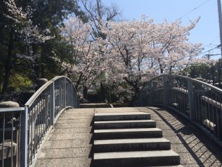 The small bridge at&nbsp;Bairin-ji