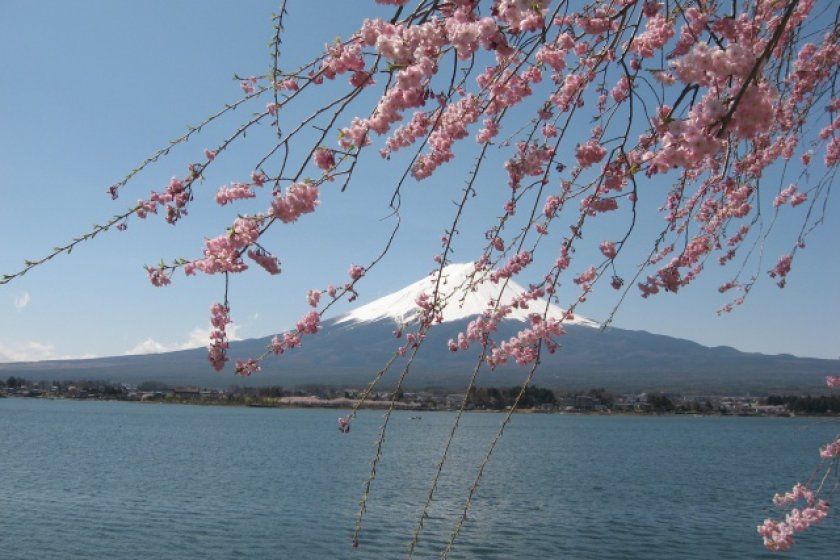 Mt.Fuji at Lake Kawaguchiko