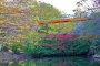 Izumi Nature Park Bridge in Chiba