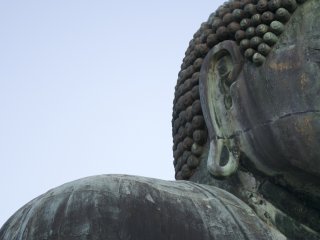 I couldn&#39;t help but notice little details on the Great Buddha
