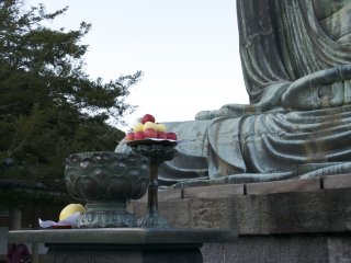 Delicious apples offered to the Daibutsu