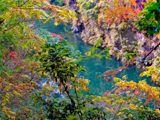 Following the river upstream where you will see some of autumn&#39;s colors contrasting against the Tama River