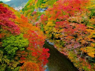 Throughout the year this gorge is an impressive sight, but even more so during the autumn season where the rich and vibrant colors bring everything to life!