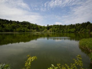 Tranquil Himenuma Pond