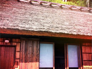 A snapshot of one of the thatched roof cottages in the area