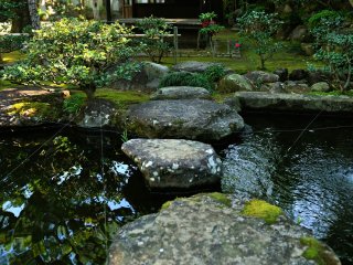 Sansui Garden pond. I visited this garden in late December when gardens are often bare and dried up, but it was lush with verdure!