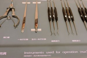 Tools for oyster surgery