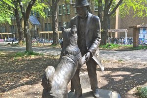 The beloved Hachiko and his master
