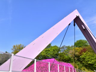 Nishiyama Bridge and pink moss phlox under the blue sky