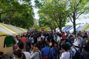 Crowds of happy people exploring the festival in Yoyogi Park