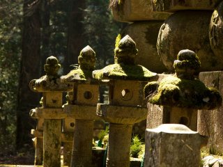 The lanterns play another important role on this graveyard. They come in all sizes and slighty different shapes, often with a soft cover of moss.