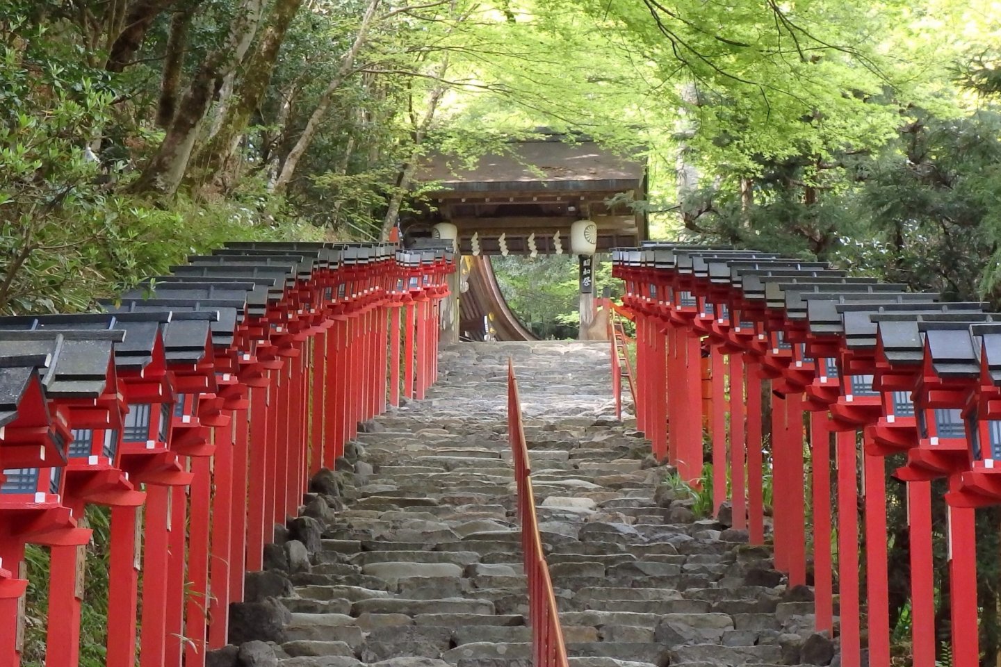 The stairs to the main shrine are lined with beautiful red lanterns.