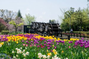 Water wheels surrounded by tulips
