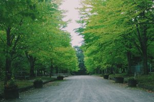 Hirosaki Park will make you calm
