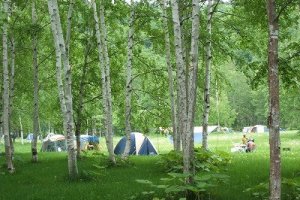 Tents at the Dream Campsite
