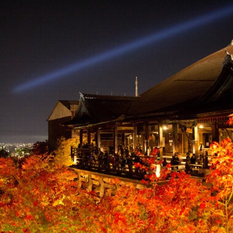 Kiyomizu-dera Autumn Illumination 2024