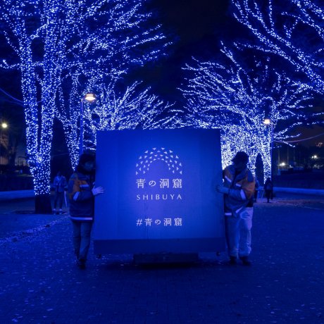 Shibuya Blue Cave Illumination 2024