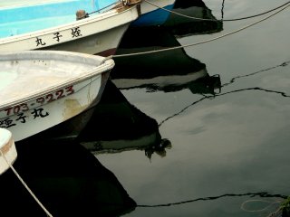 A line of tied-up boats