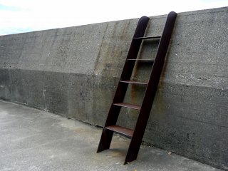 Ladder access to sea wall