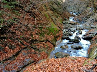 The Fuefuki River - a rocky stream in forested mountains