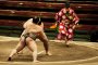 Tokyo Sumo Grand Tournament