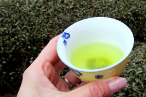 A cup of freshly made green tea invigorates and relaxes at the same time