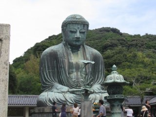 Admiring the Great Buddha