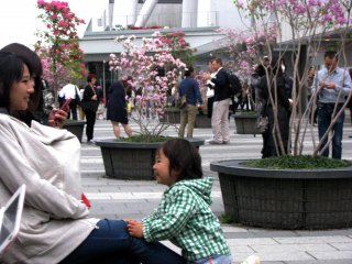 Many people come to Skytree