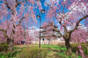 Aomori: Top 10 Things to Do