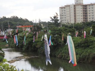 The carp streamers are hung for the entire holiday period known as Golden Week that culminates with Children's Day