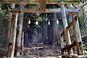 Kosuge Shrine Torii