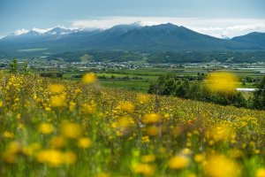 A hill view over Furano 