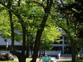 Art in the park at Hokkaido University Campus