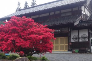 Shunran-no-Sato farmhouse accommodation