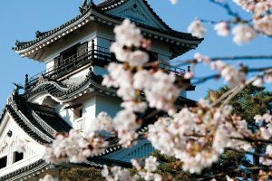 Top 5 Things to Do Around Kochi City, Japan
