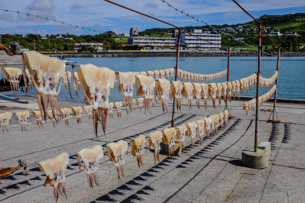 Fresh squid drying in the sun is a common sight on Ou-jima