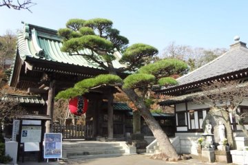 Hase Kannon Temple in Kamakura