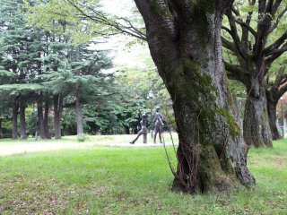Old trees of Higashi Park