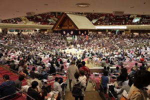Wider view of the sumo arena