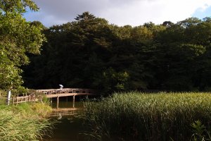 Shakui Park is an oasis in Nerima