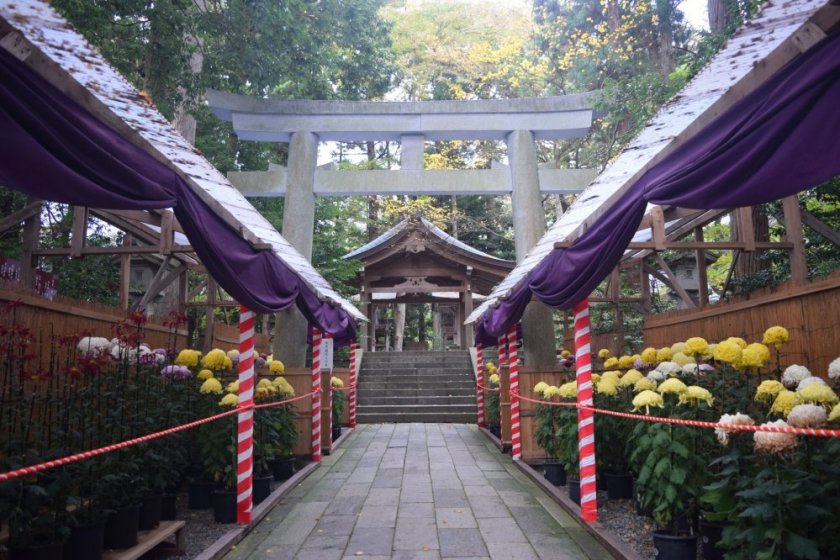 The shrine\'s grounds are naturally beautiful, and even more so with the flowers on display
