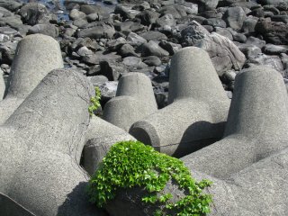 Concrete fortifications and natural stones on the coast