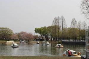 Boat lake at Kawagoe Park