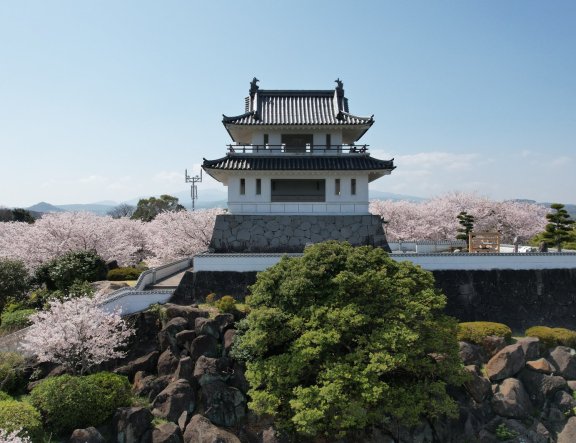 Takezaki Castle Ruins Sakura Festival