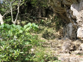 The trail to the top isn&#39;t particularly long, but most of it is surrounded by limestone rock, dense vegetation, and steep drop-offs down the hill below