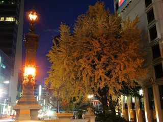 The light post illumination of Nihonbashi&nbsp;next to nicely colored tree in autumn