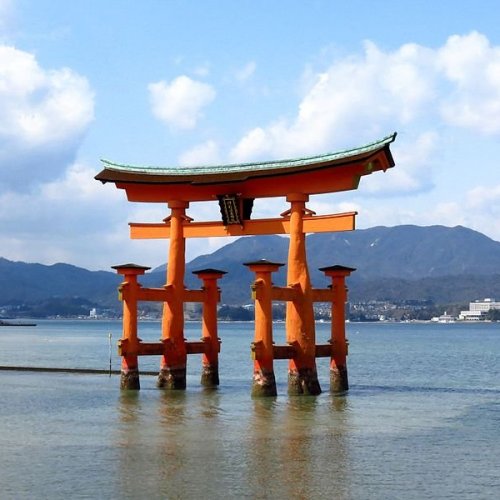 The beautiful torii