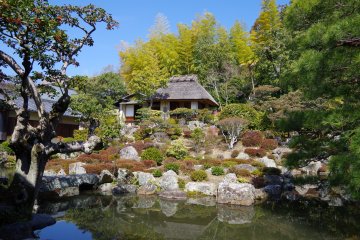 <p>A teahouse and pond in the west garden, viewed from behind the main building</p>