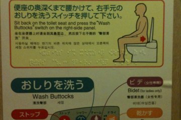 Don&#39;t count on this, but in very rare places you can find detailed multilingual instructions inside the restroom.&nbsp;