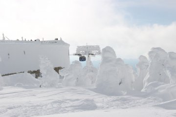 <p>Snow covered all</p>